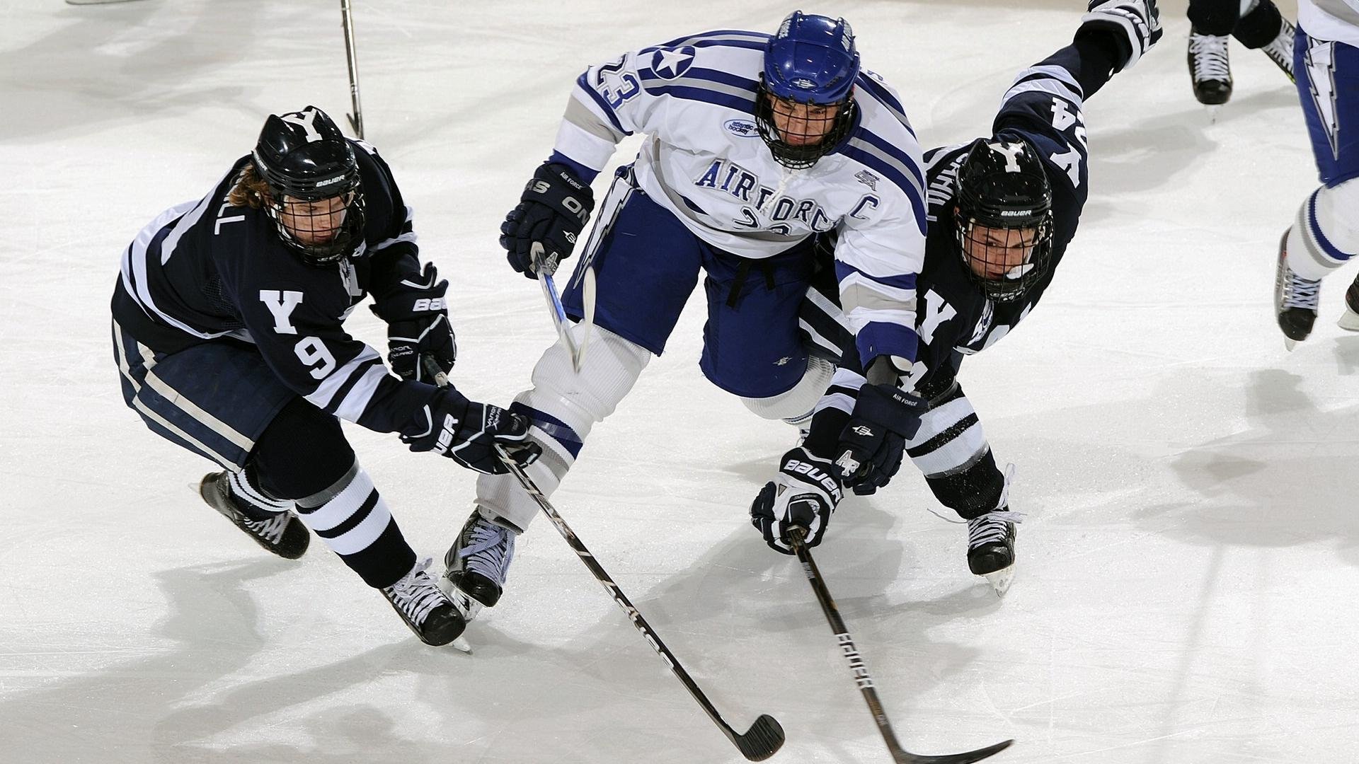 体育焦点赛事全程跟踪报道，体育热点资讯