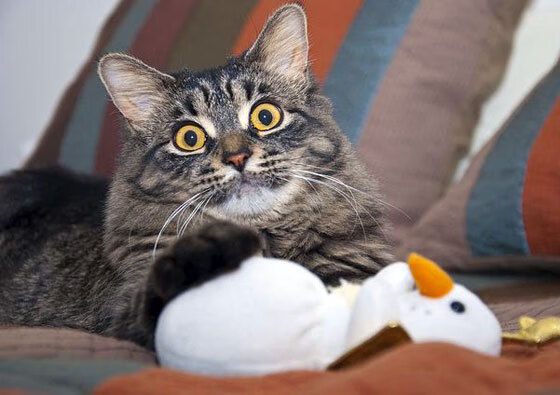 NBA球队球员使用效率与战术结构关系研究，篮球球员效率值