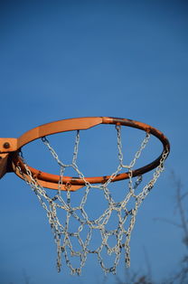 开云体育在线登入-NBA球队球员培养规划设计，nba对球员的要求是什么