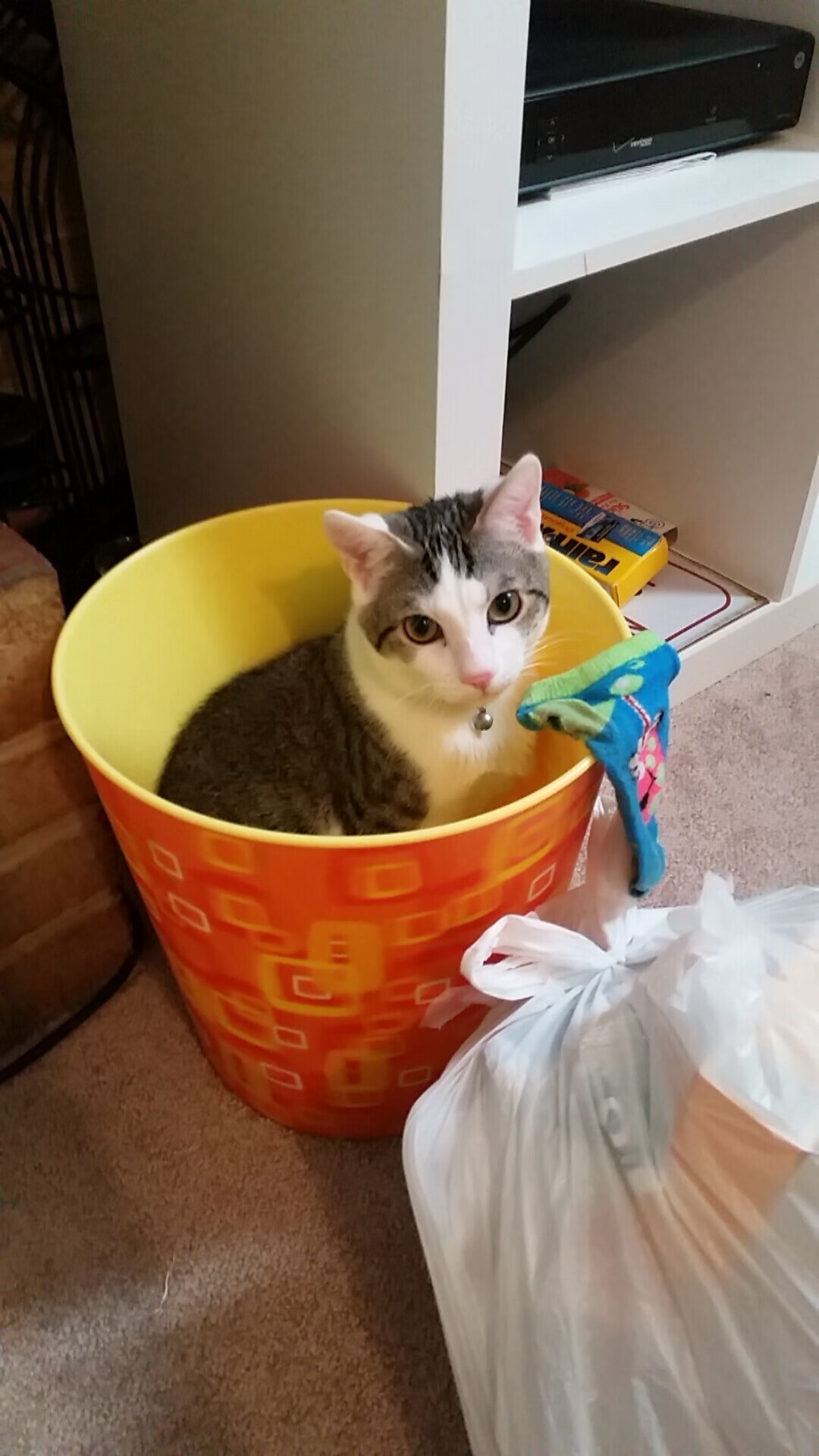 NBA球队球员心理素质培养，nba球星素质