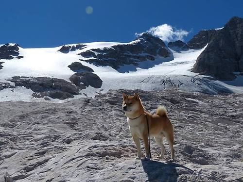 中国足球场上沟通策略研究，中国足球面临的问题