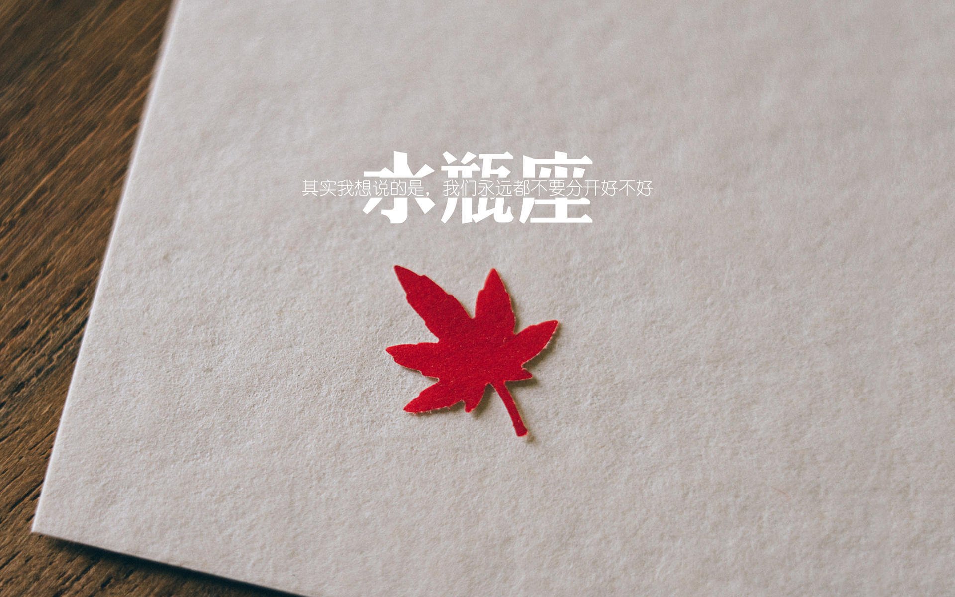 国足年度战术执行临界失误分析图谱，国足技战术