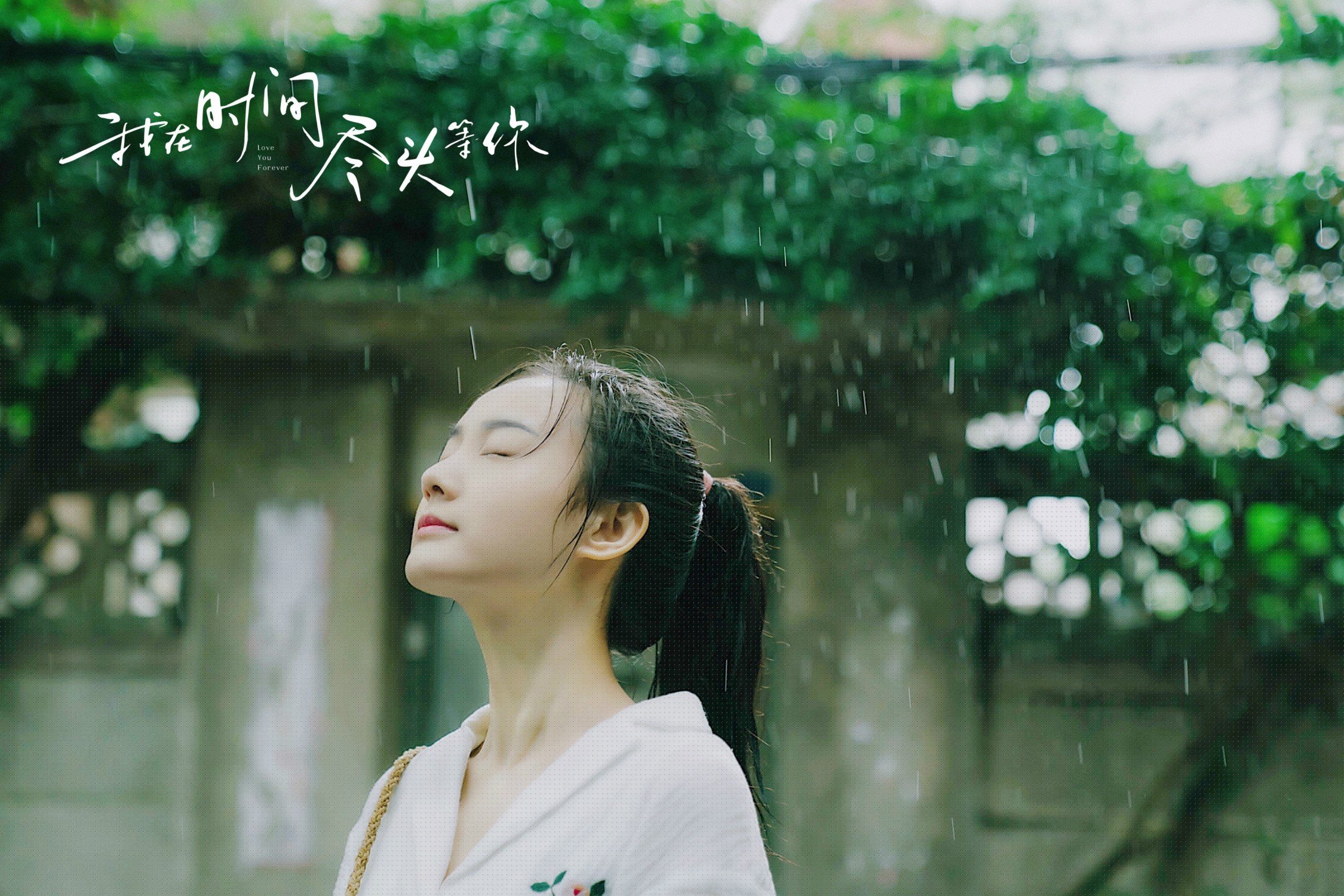 “成都滑轮赛场：谁将成为滑轮运动的新王者？”