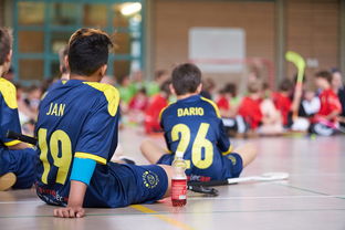 开云在线入口-“速度与技巧！新都香城福乐球赛激烈进行”