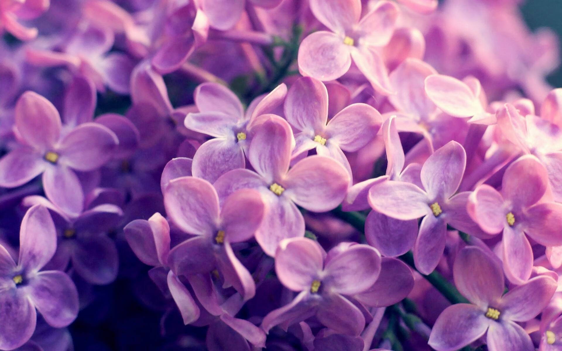 “速度与技巧!新都香城福乐球赛激烈进行”