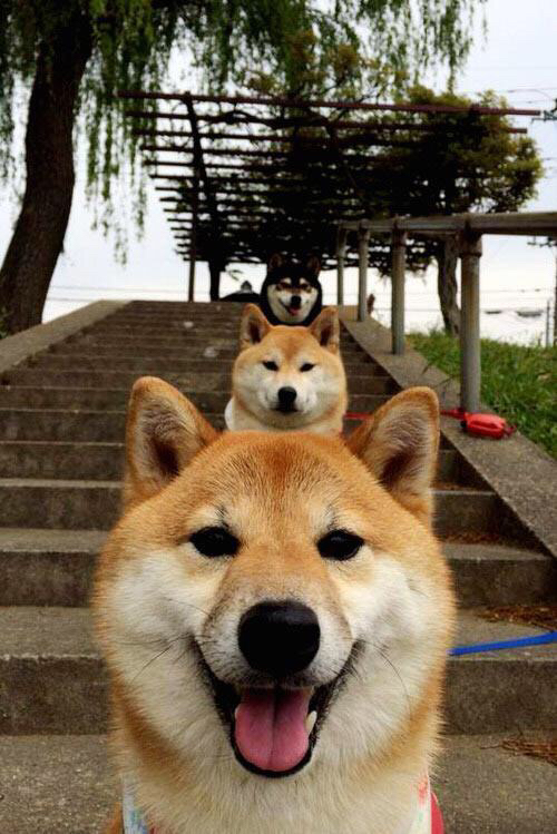 开云体育官网app-中国三人篮球男队战术多变应对强敌，中国三人篮球男篮赛程