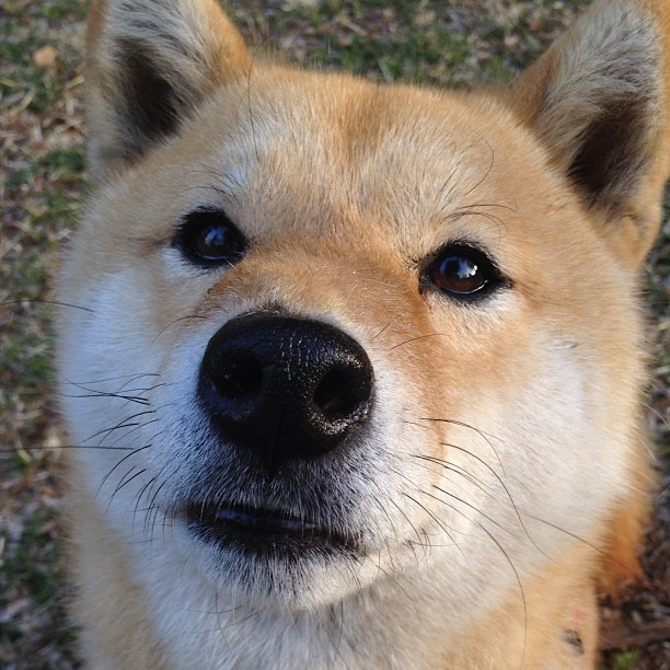 印度乒乓球队未来发展：创新训练体系，推动年轻球员崛起，印度乒乓球厉害么