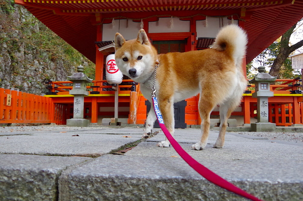 国际热身赛中国女足逆袭 球迷充满信心，中国女足热身赛直播