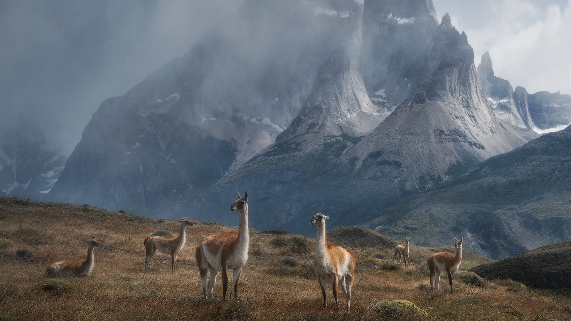 世界杯精彩战况:每场比赛都令人热血沸腾!,世界杯比赛集锦