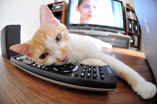 中国足球联赛提升转播解说专业性和多样性,中国足球队转播