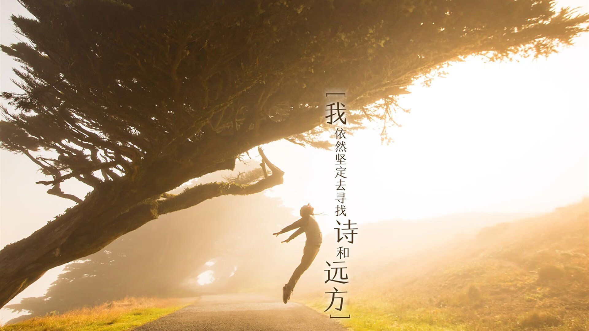 俄罗斯橄榄球发展加速,能否成为新兴力量?,2018年俄罗斯橄榄球