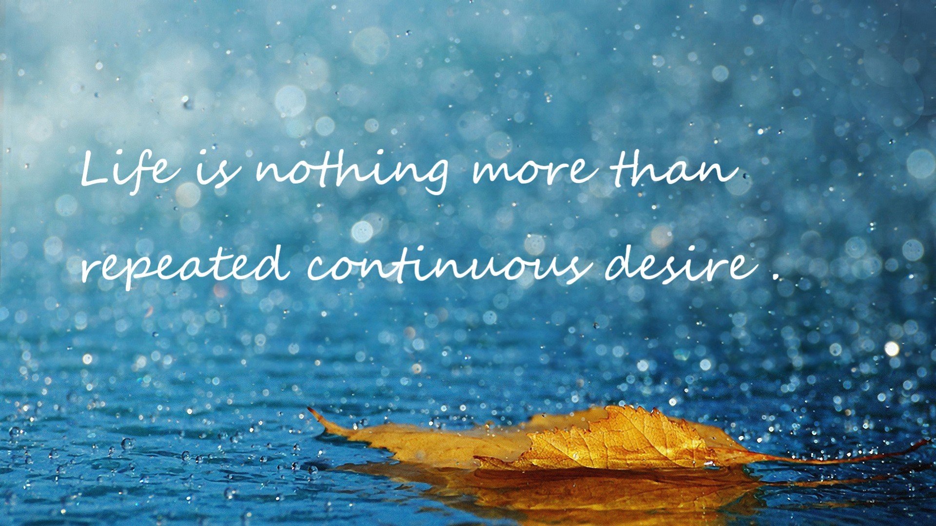 开云体育在线入口-国际田径锦标赛新纪录诞生，国际田径项目