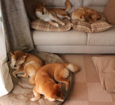 智能穿戴设备助力青少年运动健康，推动体育科技创新，智能穿戴设备方案