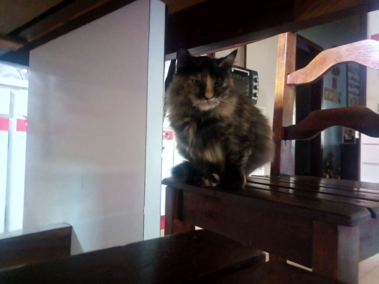 篮球文化节融合艺术元素打造沉浸式体验场景,篮球文化节活动方案