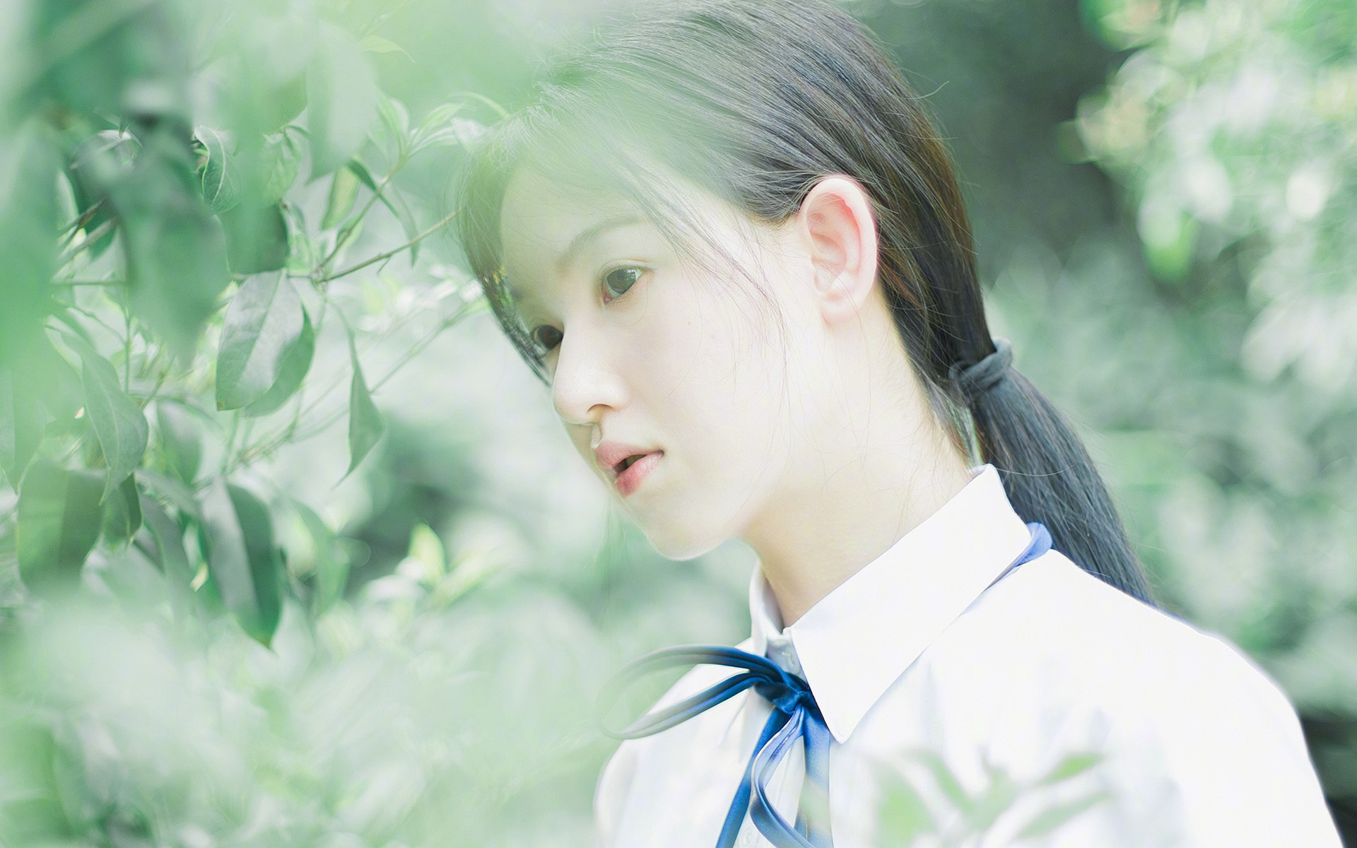 篮球文化节融合艺术元素打造沉浸式体验场景,篮球文化节活动方案