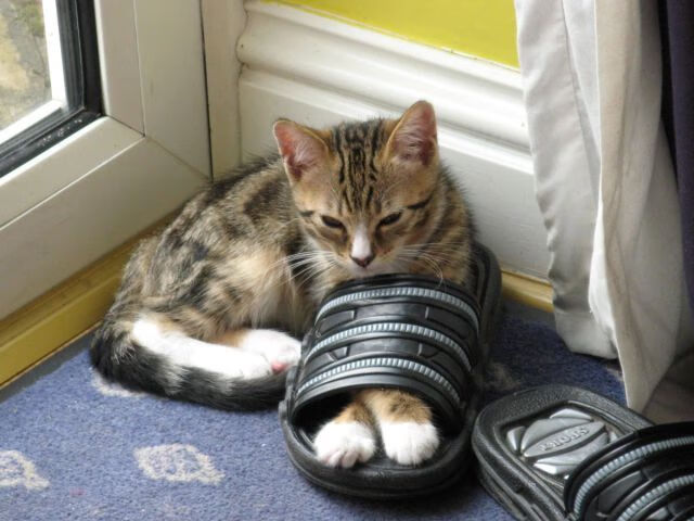 西甲火热的转会市场盘点,西甲转会窗口什么时候关闭