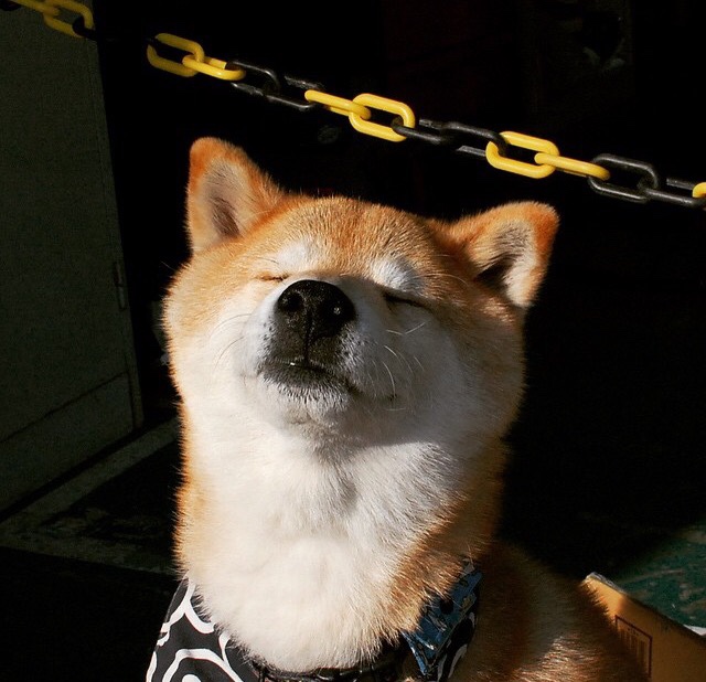 开云体育登录入口-西甲闪耀全场：明星绝技让对手汗颜，西甲十大球星