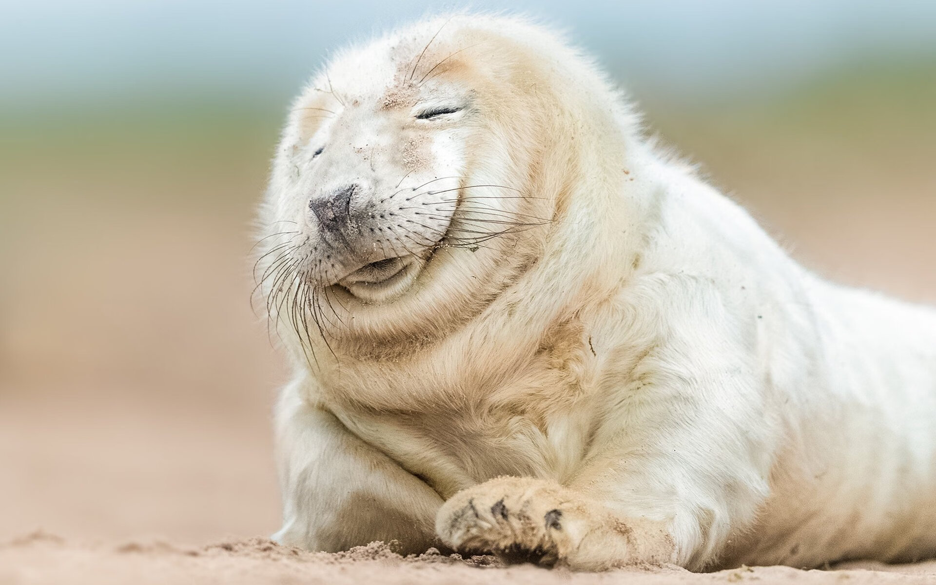 CBA每年上缴1亿元助力篮协补贴女篮与青少年篮球发展