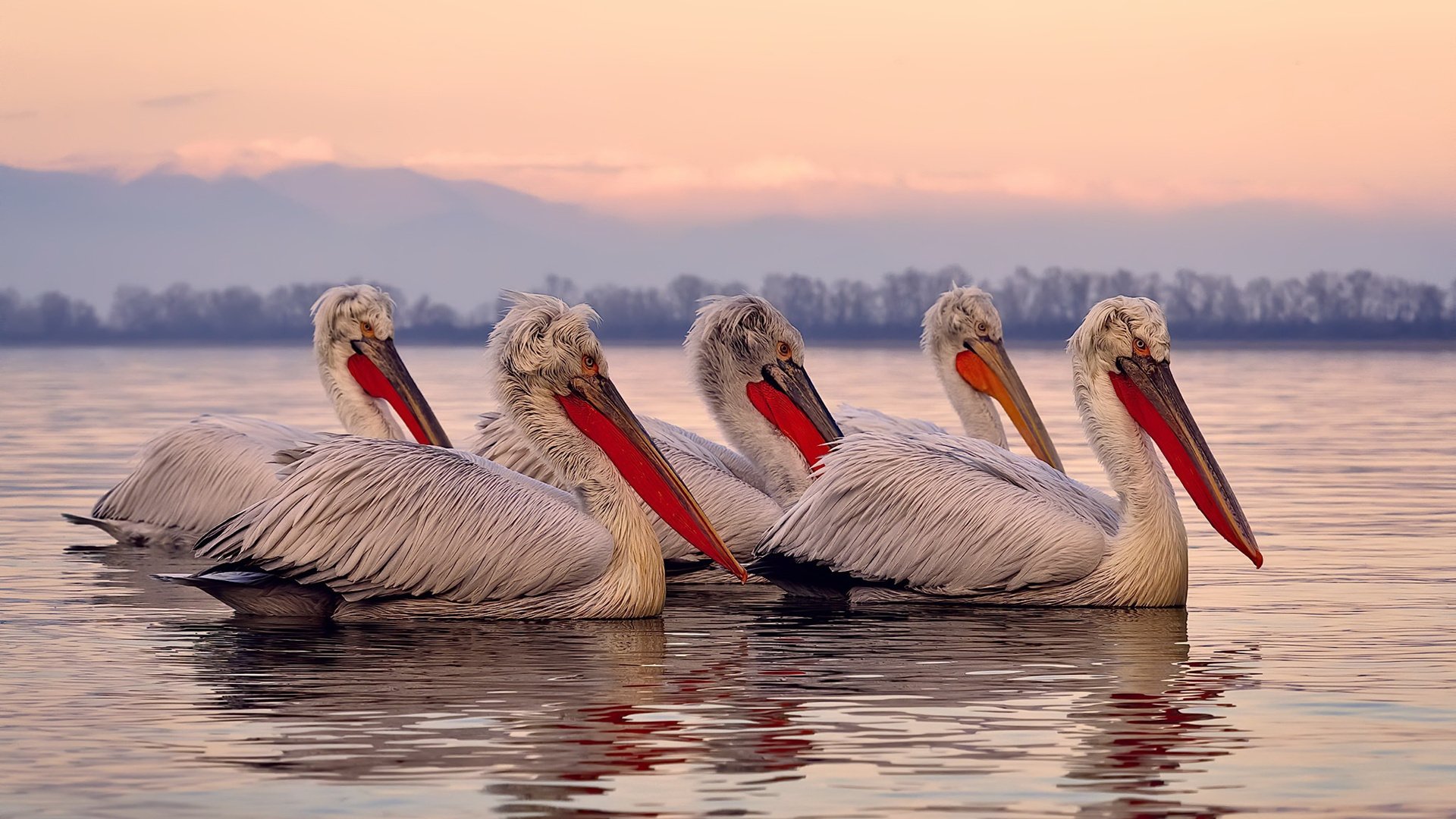 中国篮球在三人篮球领域能否继续领先,我国三人篮球